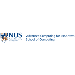 NUS Advanced Computing for Executives School of Computing